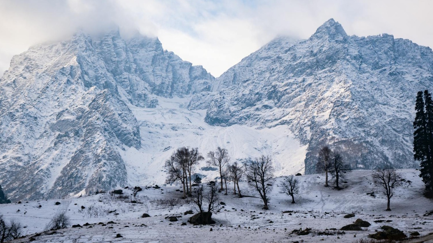 Winter Wonderland Kashmir